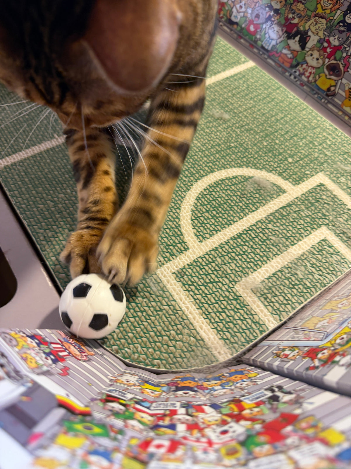 FIFA