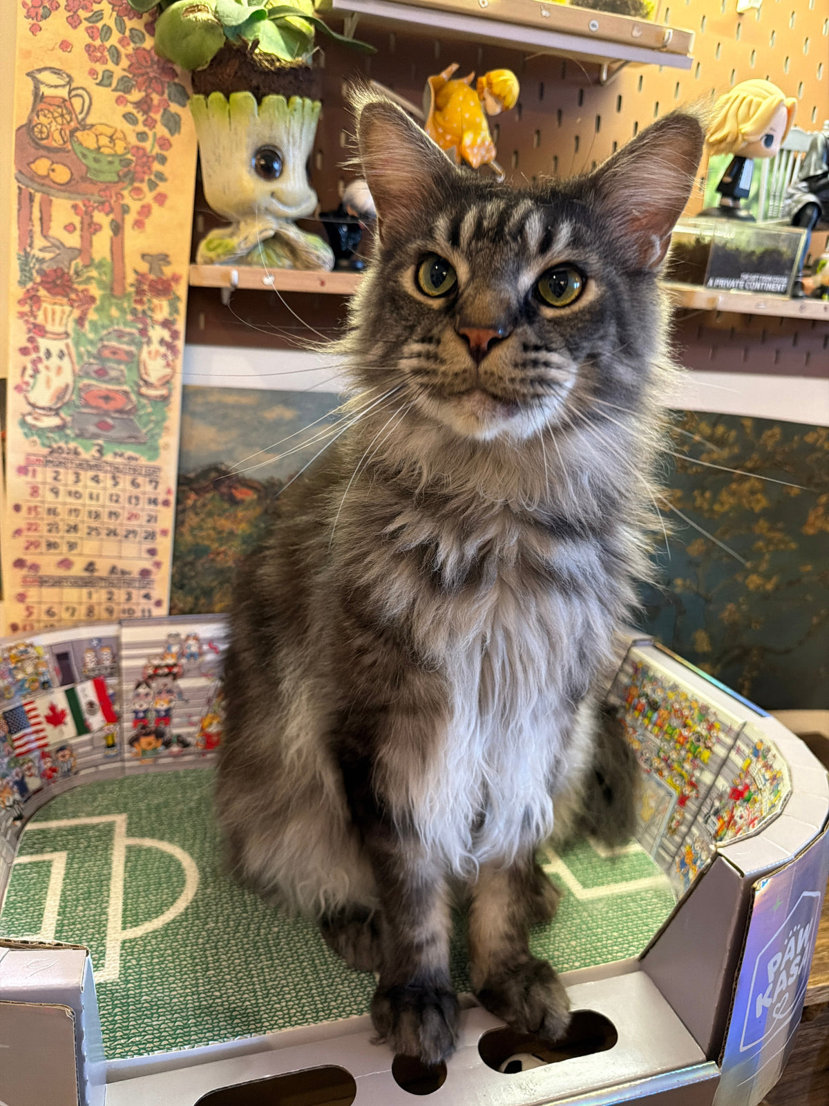 Leo