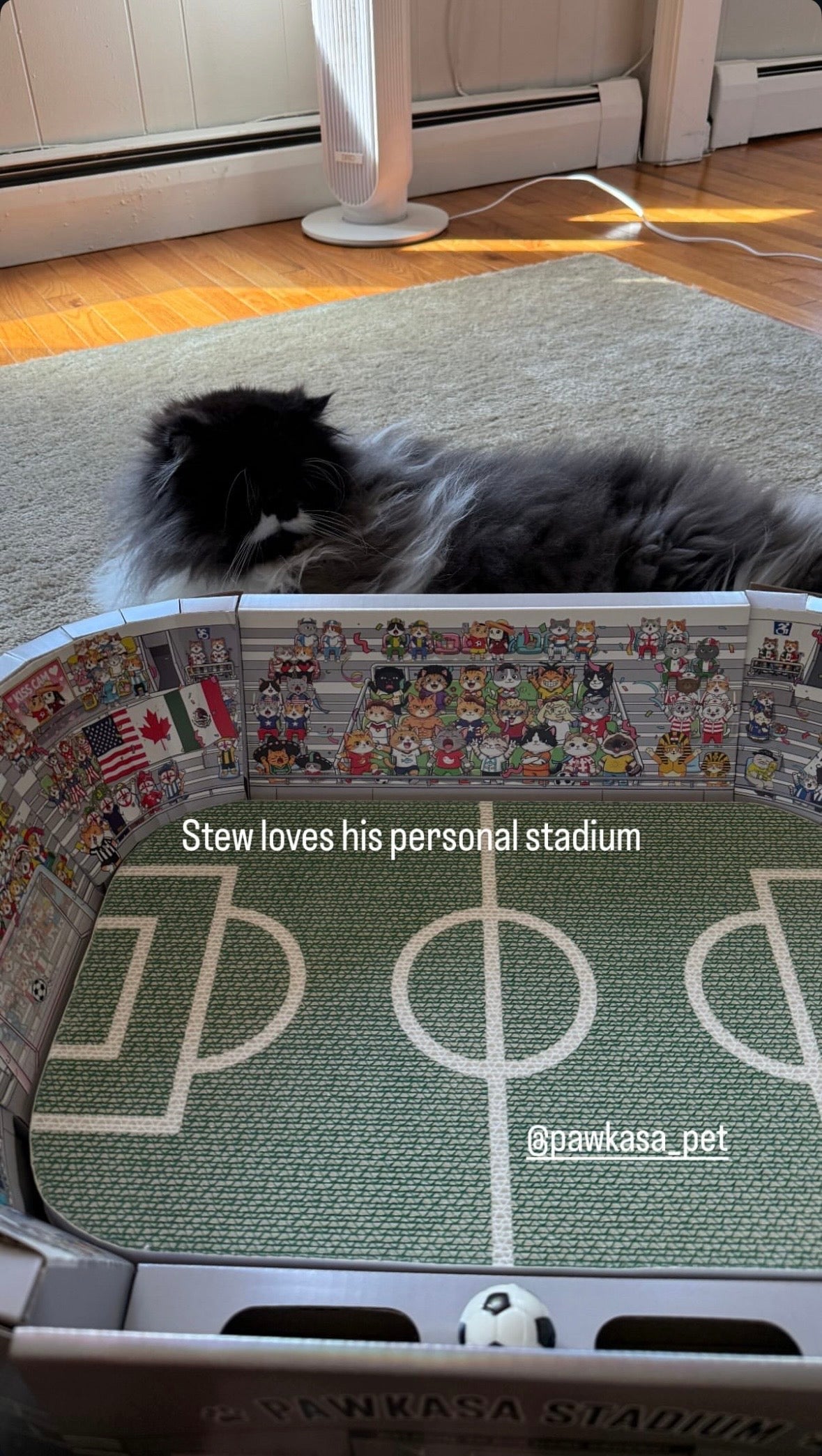 Stew