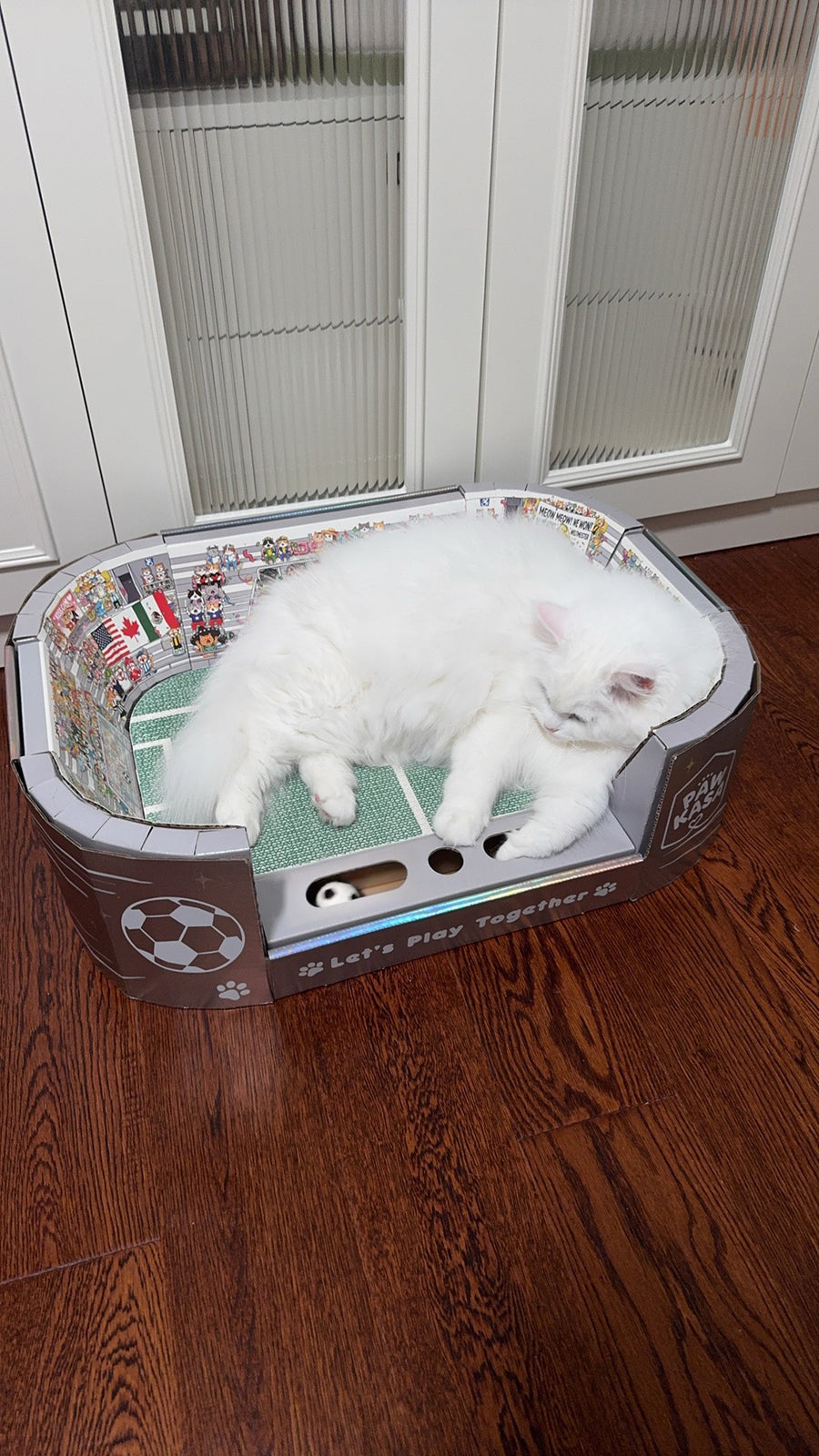 Sophie L.'s cat enjoying PawKasa