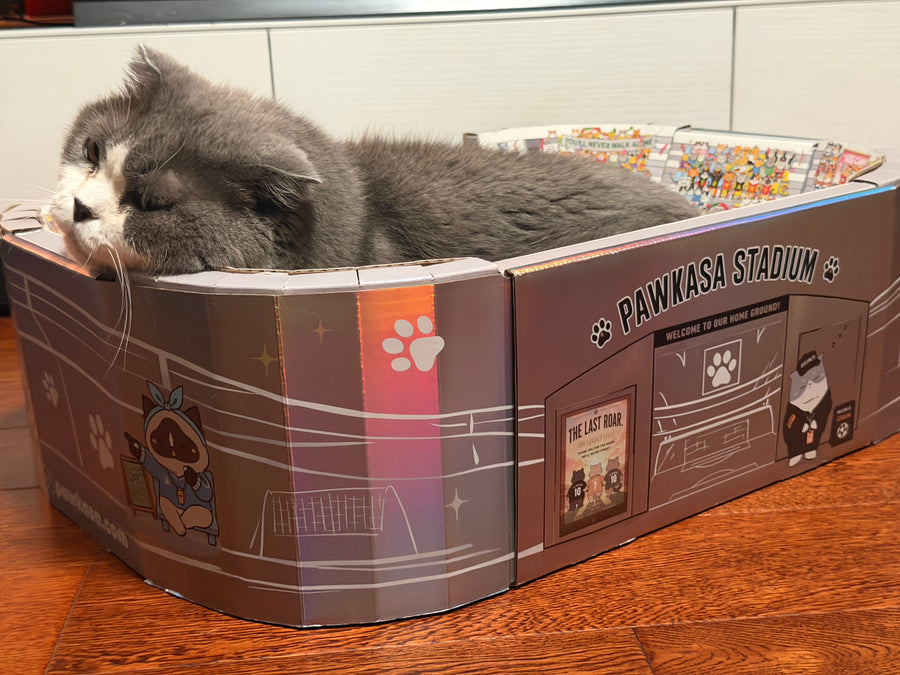 Maria G.'s cat enjoying PawKasa