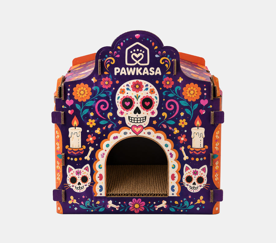 PawKasa Día de los Muertos – Gatito Forever