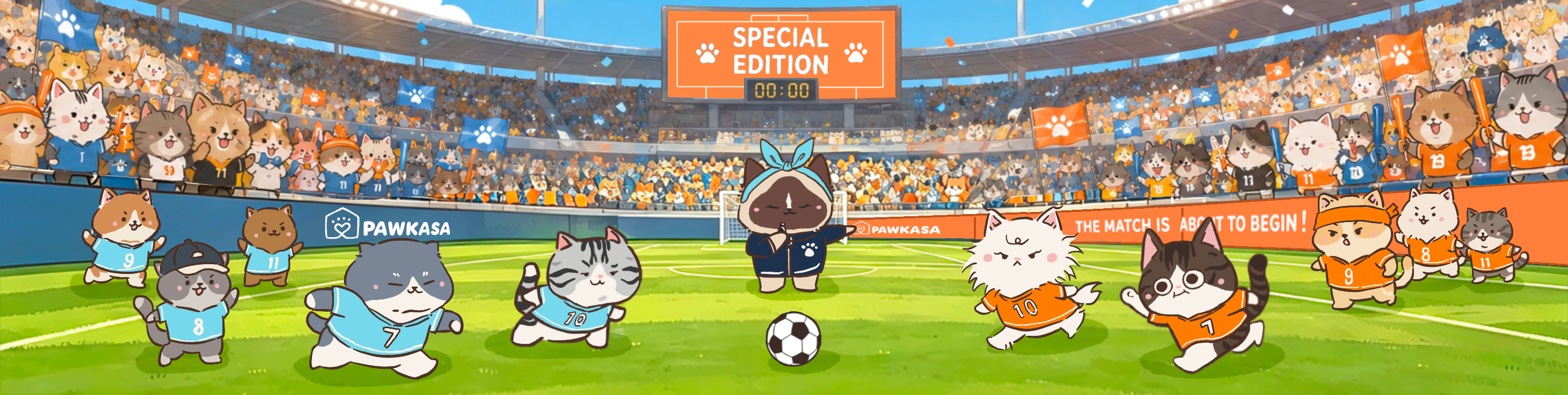PawKasa football special edition cats